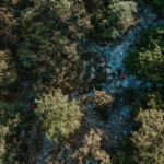 Vue d’un séminaire au parc boisé de Hyères, ateliers en plein air