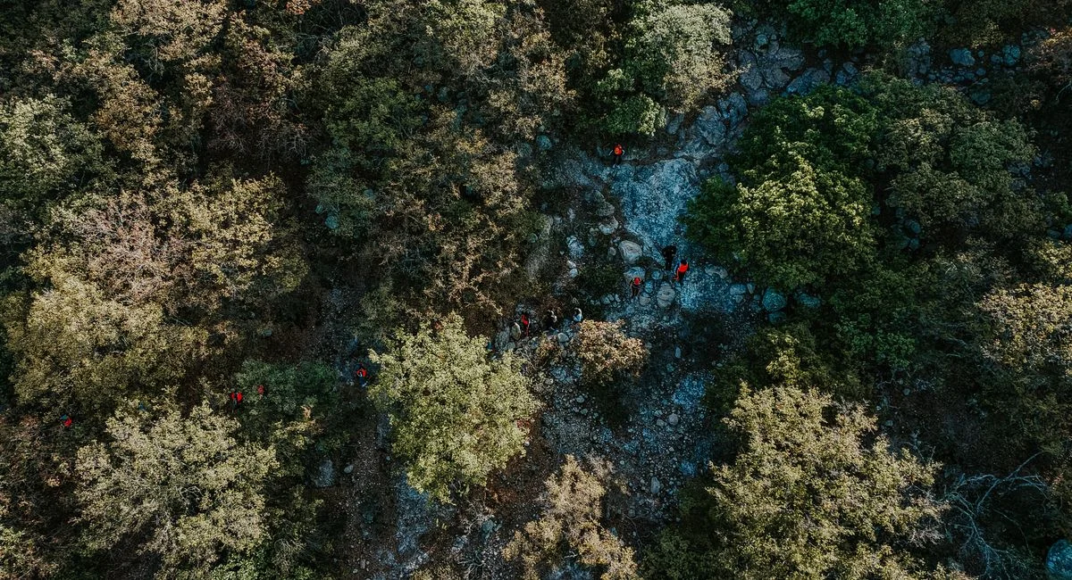 Vue d’un séminaire au parc boisé de Hyères, ateliers en plein air